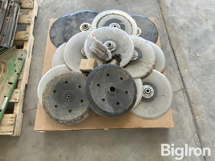 sunflower-9435-image-11