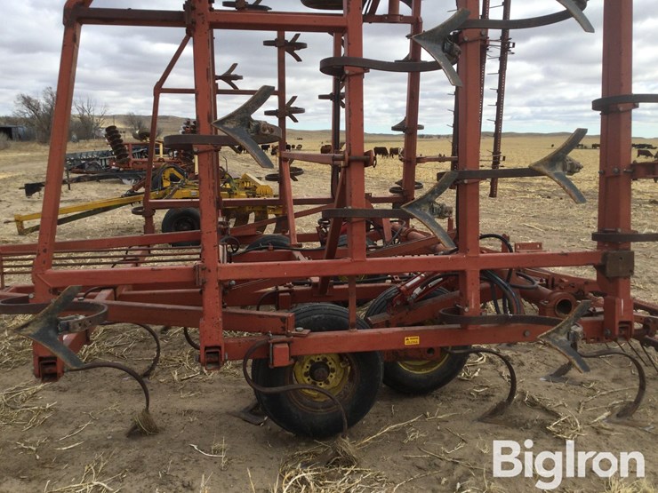 sunflower-5531-image-17