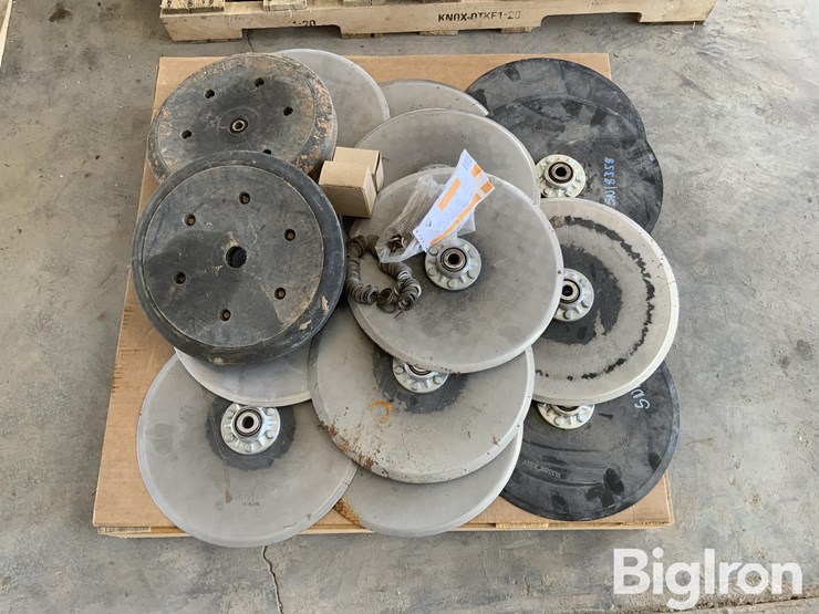 sunflower-9435-image-10