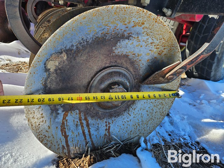 sunflower-1435-image-19