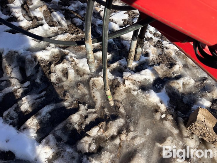 sunflower-4212-14-image-18