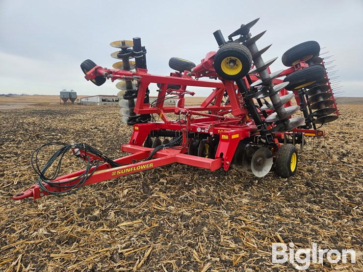 sunflower-1435-23-image-1