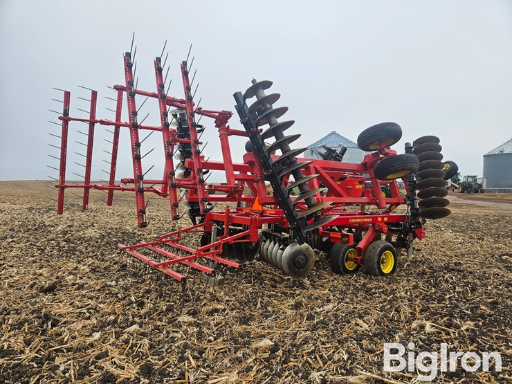 sunflower-1435-23-image-5