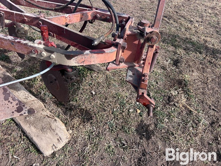 international-540-image-17