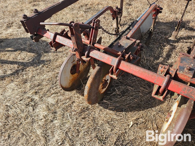 international-470-image-17