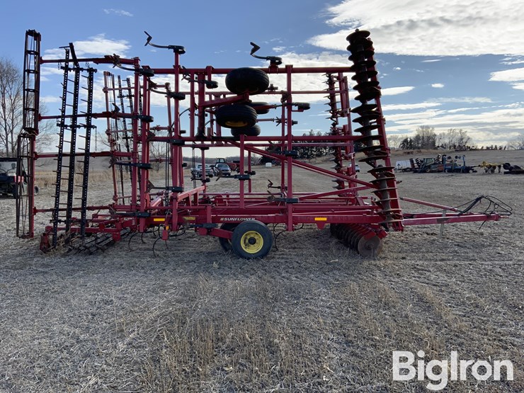 2011-sunflower-6333-image-4