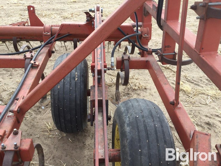 sunflower-5531-image-12