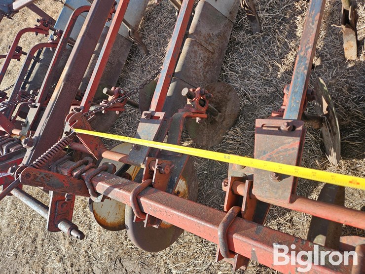 international-470-image-9