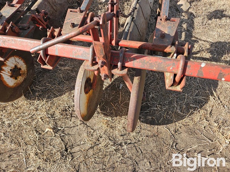 international-470-image-11