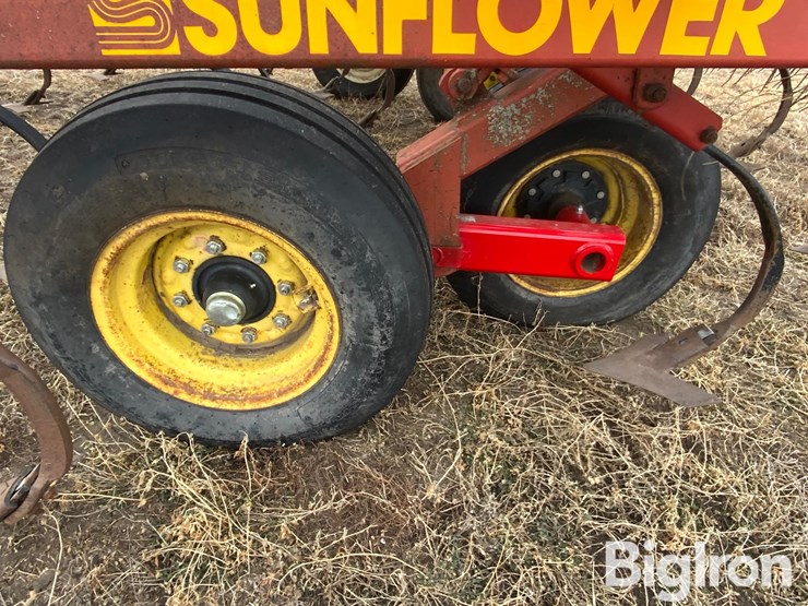 sunflower-5652-image-20