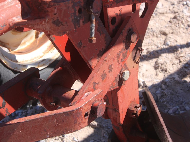 international-5-image-24