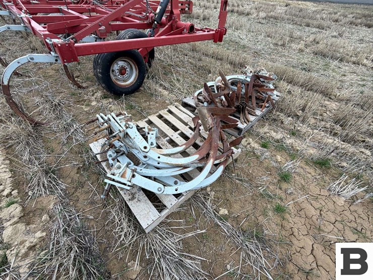 wil-rich-4830-image-36