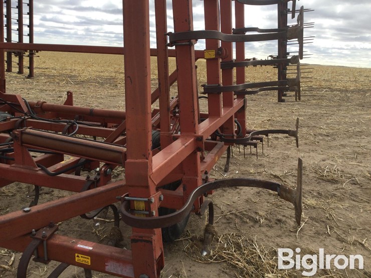 sunflower-5531-image-16