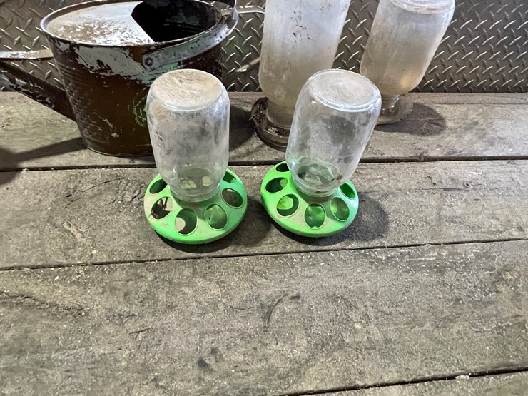 #7229-•-(2)-glass-chicken-waters-image-9