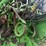 john-deere-9770-sts-image-6