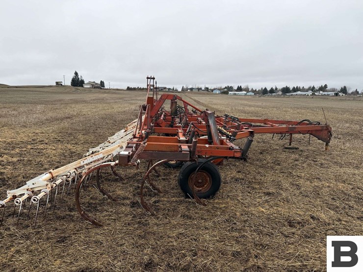 international-55-image-8