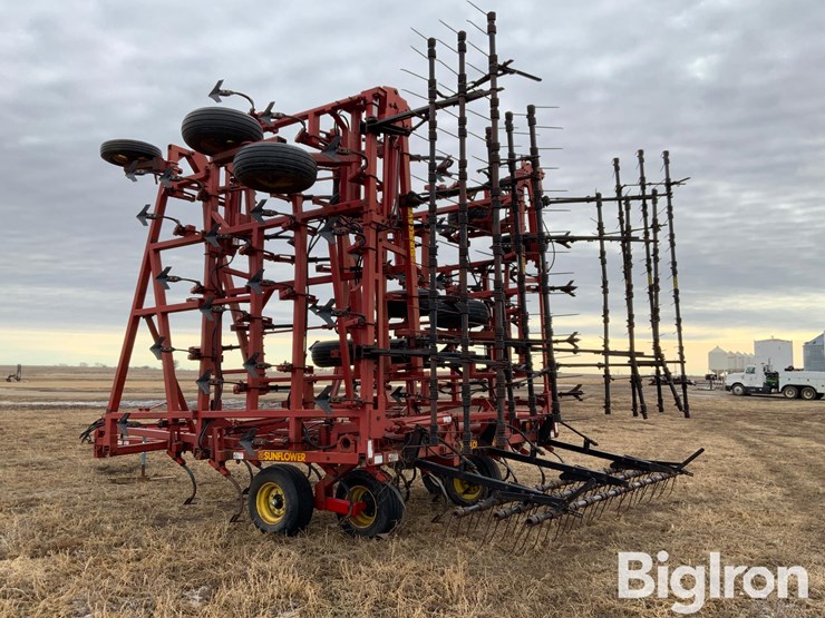 sunflower-5652-image-7