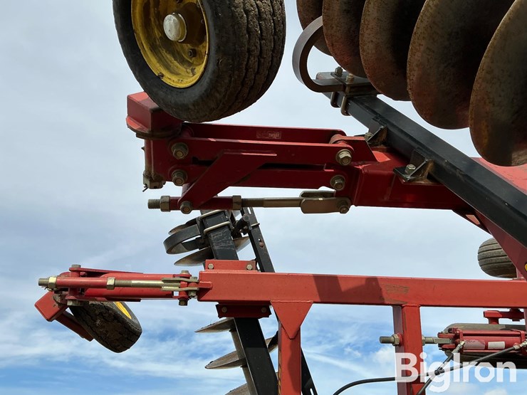 sunflower-1434-29-image-19