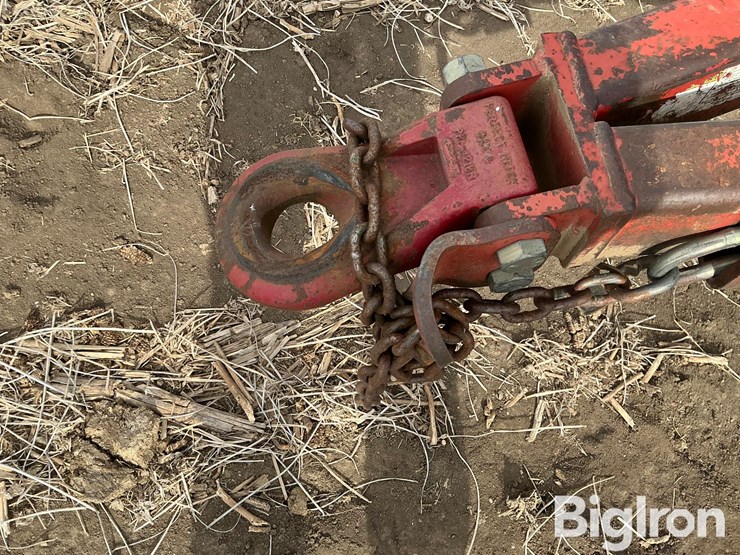 sunflower-1434-29-image-9