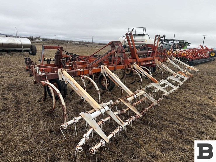 international-55-image-5