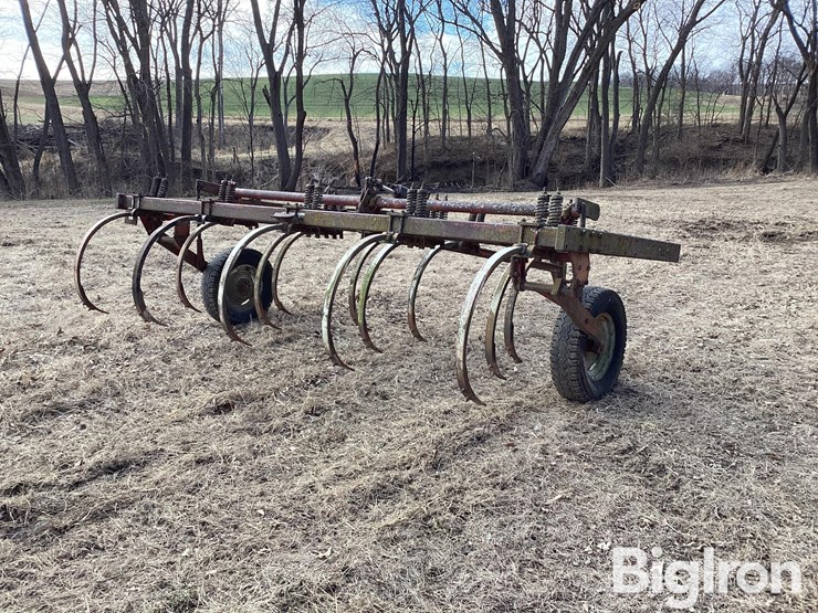 international-13-image-5