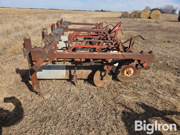 international-470-image-4