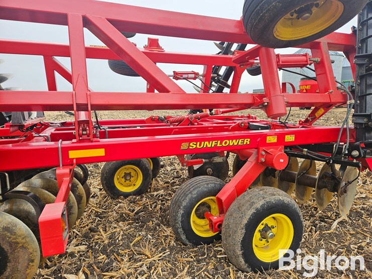 sunflower-1435-23-image-18