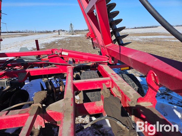 sunflower-1435-image-16