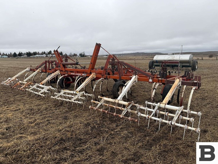 international-55-image-7