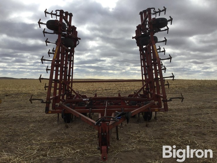 sunflower-5531-image-2