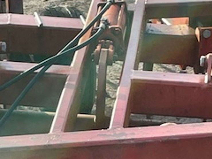 sunflower-4411-image-5