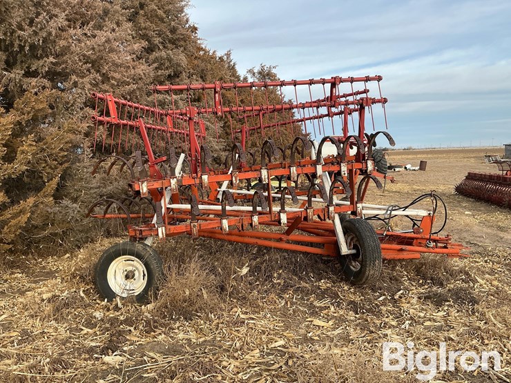 international-3-image-4