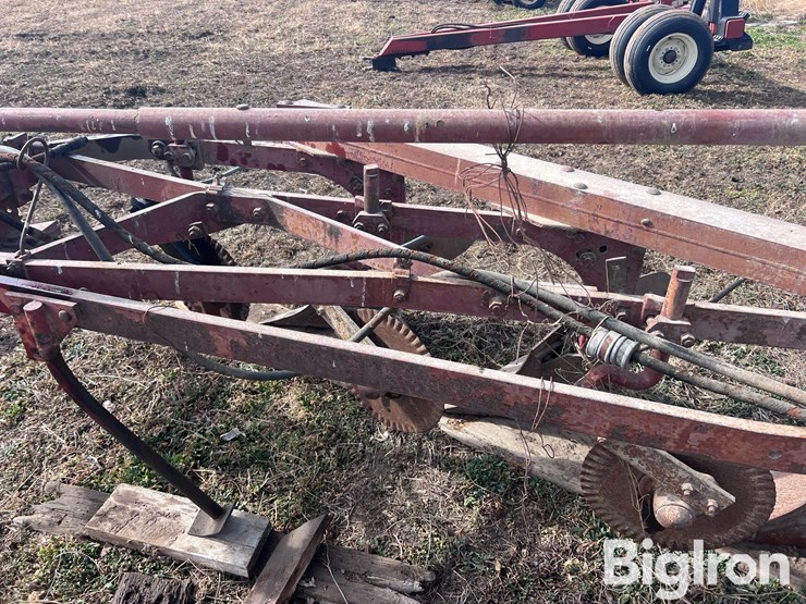 international-540-image-13