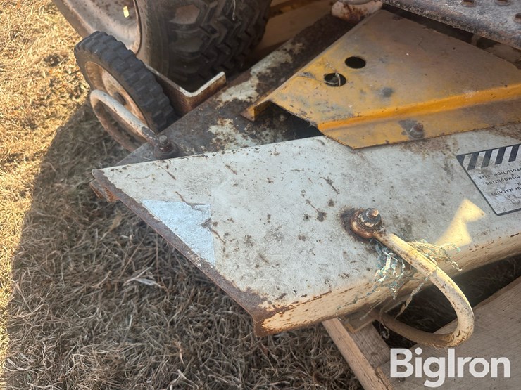 international-cub-image-17