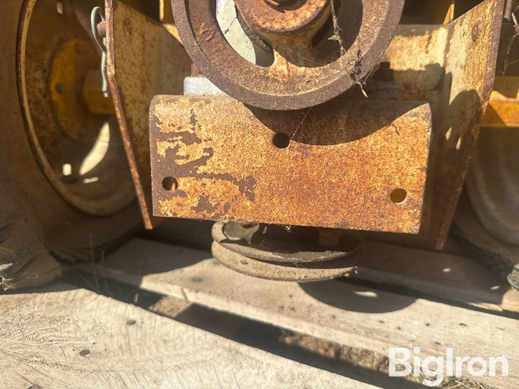 international-cub-image-20