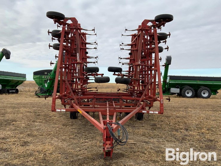 sunflower-5652-image-2