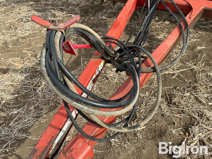 sunflower-1434-29-image-10