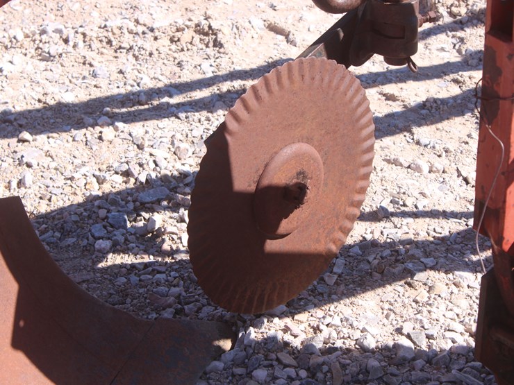 international-5-image-21