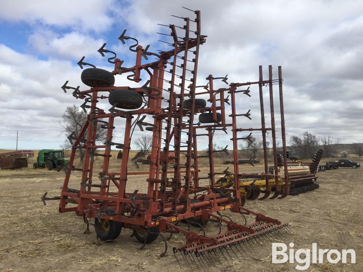 sunflower-5531-image-7