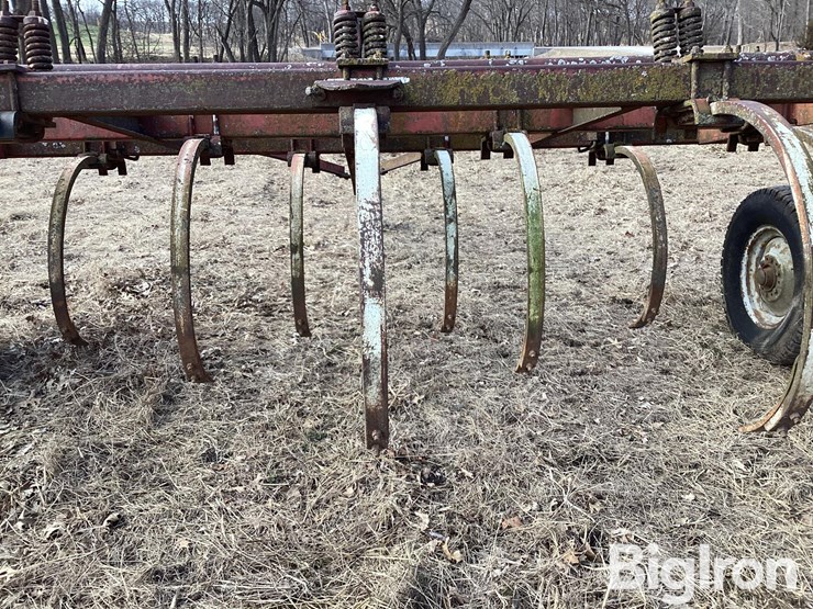 international-13-image-20