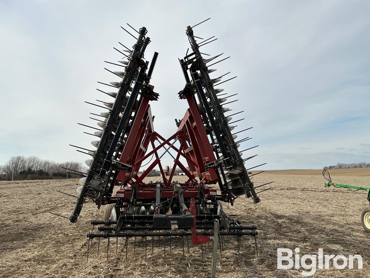 sunflower-1434-29-image-6