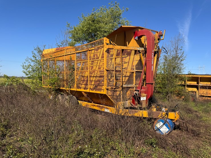 kbh-mule-boy-image-3