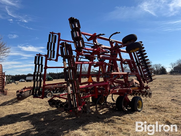 sunflower-4232-image-5