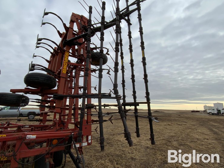 sunflower-5652-image-15