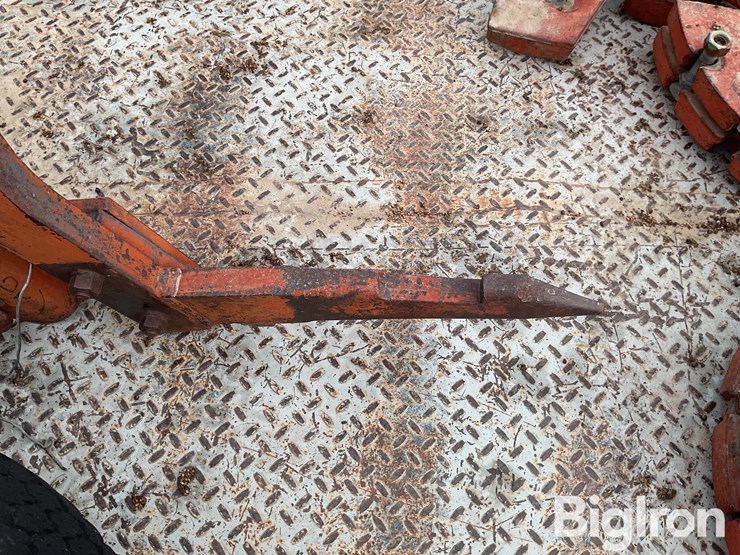 international-3-image-12