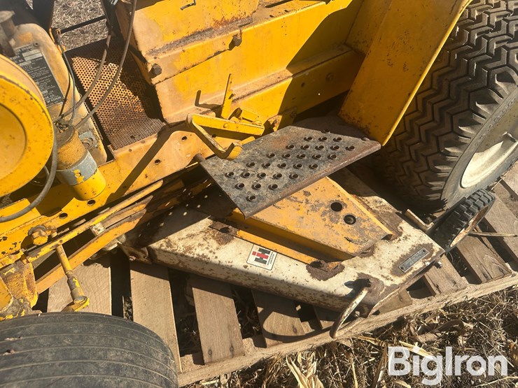 international-cub-image-15