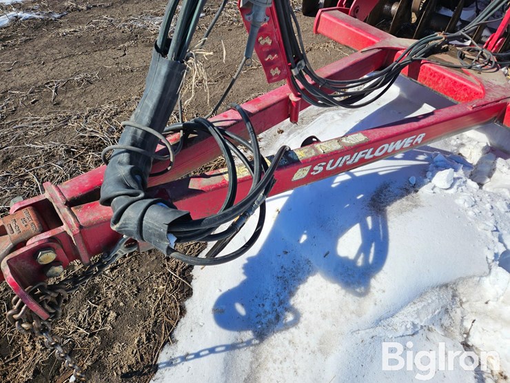 sunflower-1435-image-10