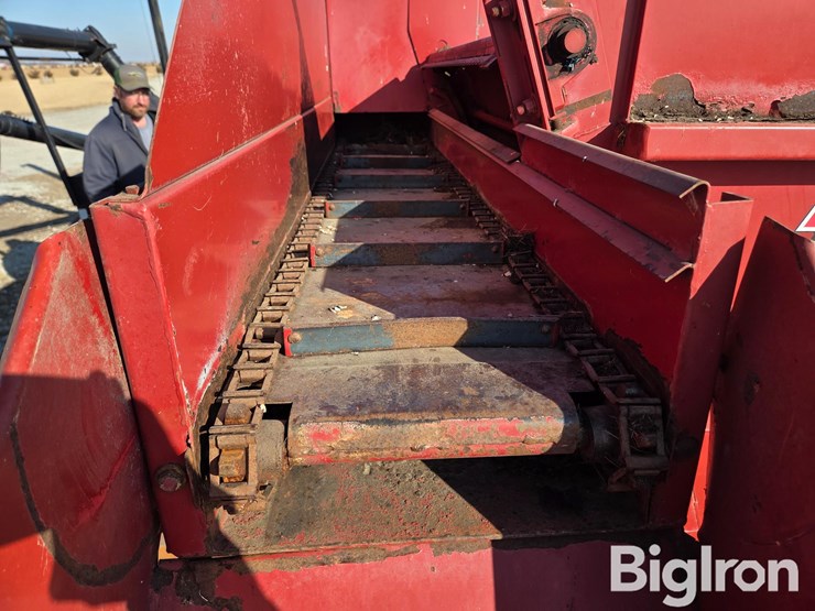 kelly-ryan-4x10-image-11