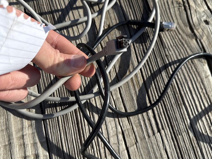 raven-viper-image-19