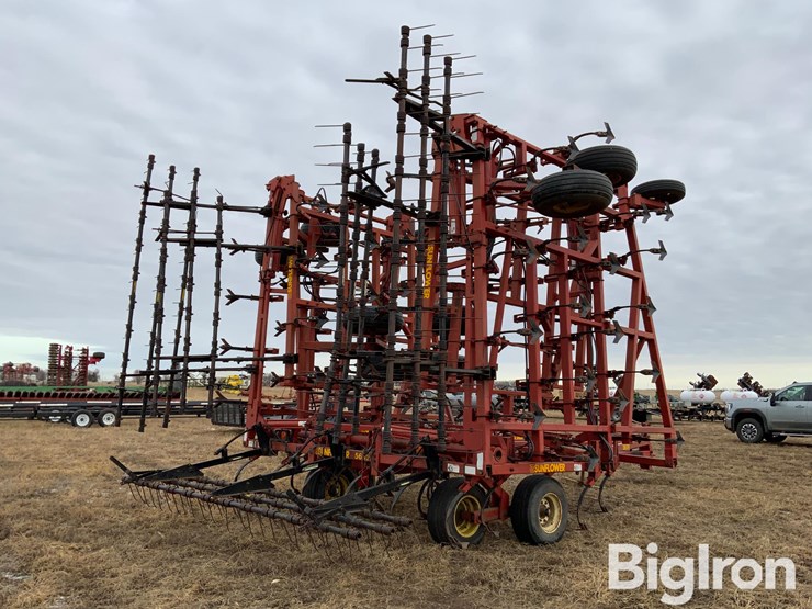 sunflower-5652-image-5